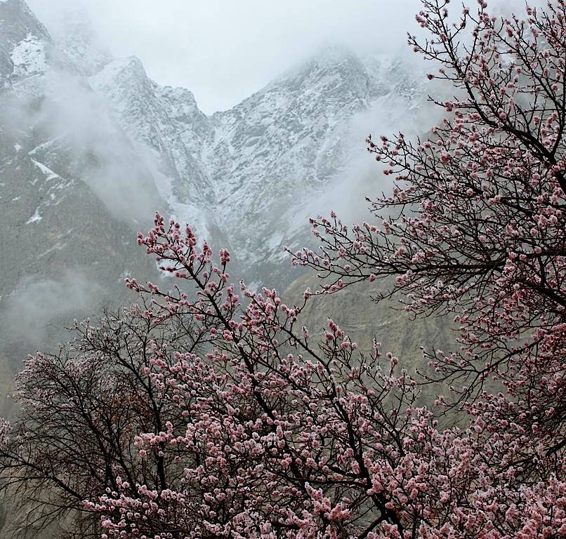 魅力帕米尔 摄影 雪山雄鹰