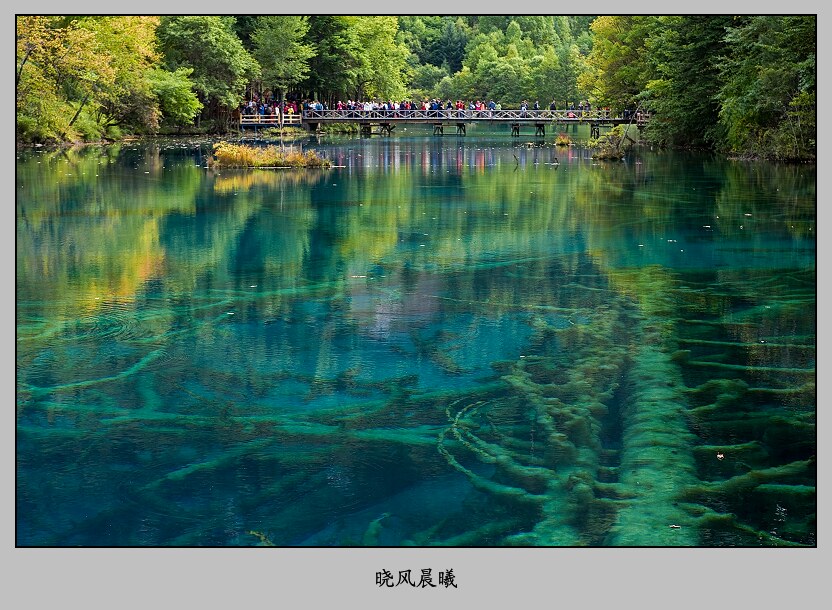 九寨之水 摄影 晓风晨曦