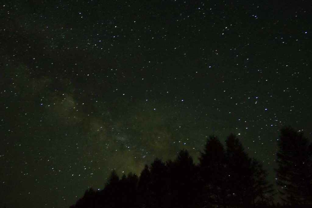 林中星空 摄影 黑黑之羽