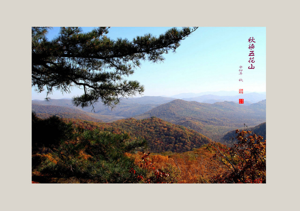 秋染五花山 摄影 梦里追风