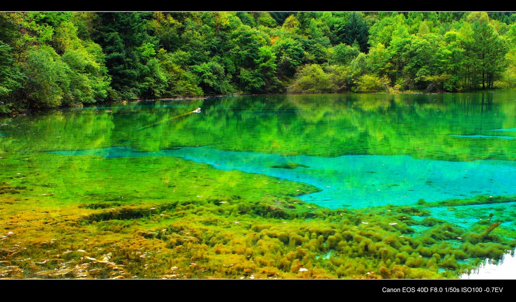 九寨水景3 摄影 无冕