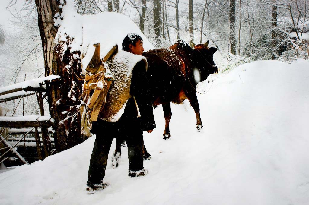 雪地冬韵3 摄影 关河纤夫