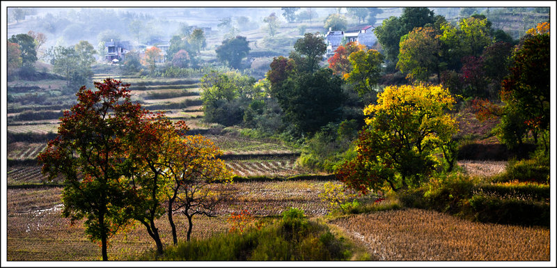 大悟秋色2011 摄影 xianyunsky