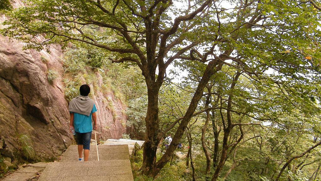 黄山风光42 摄影 刘陆陆