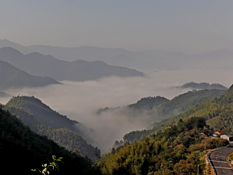 四明山云雾 摄影 叶韵