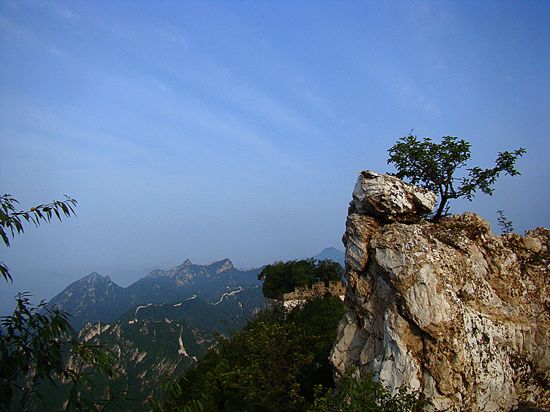 石破花开 摄影 龙在云中