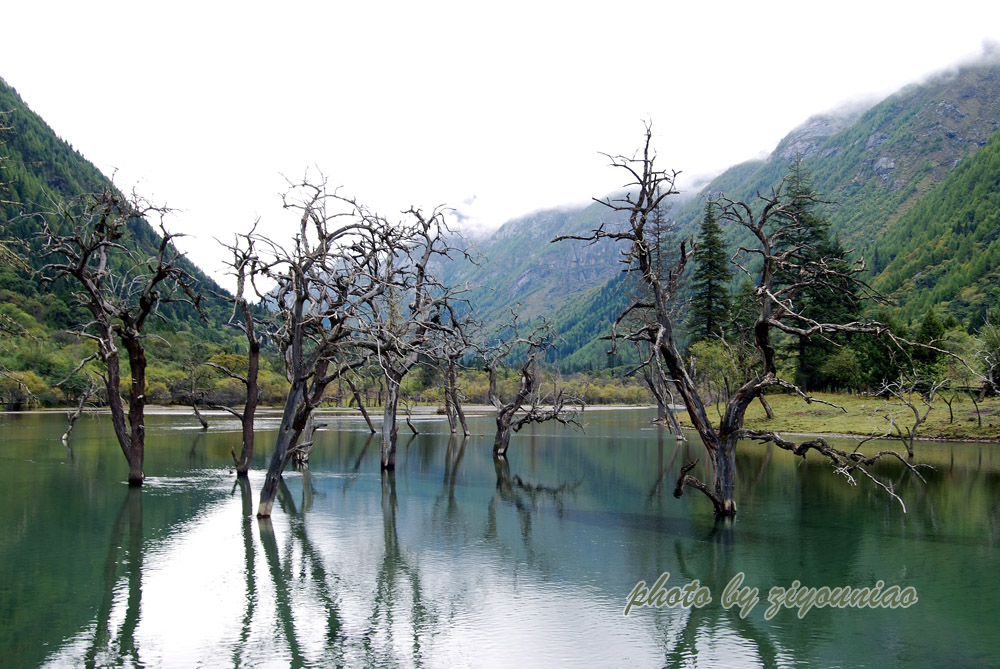 双桥沟风光 摄影 ziyouniao