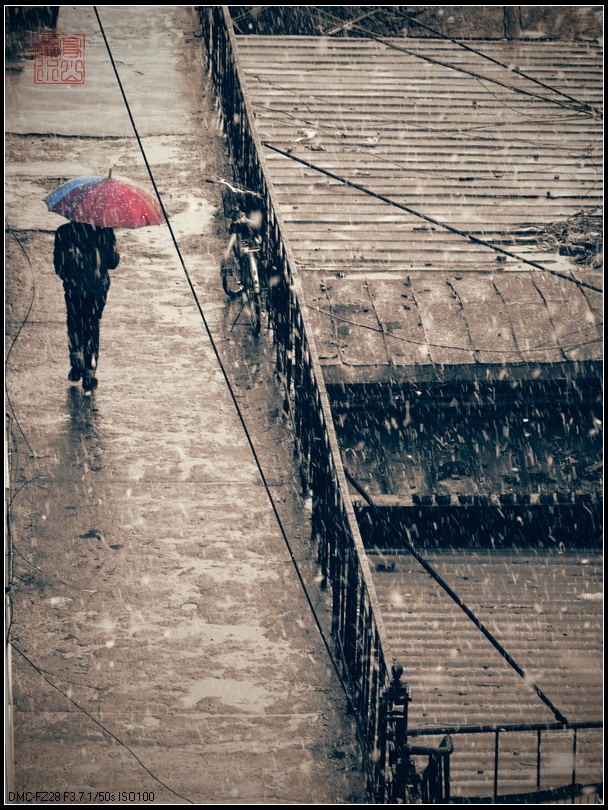 行走雪雨中 摄影 滈屾蓅渁