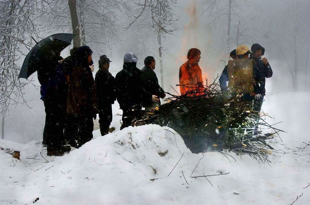 雪地冬韵5 摄影 关河纤夫