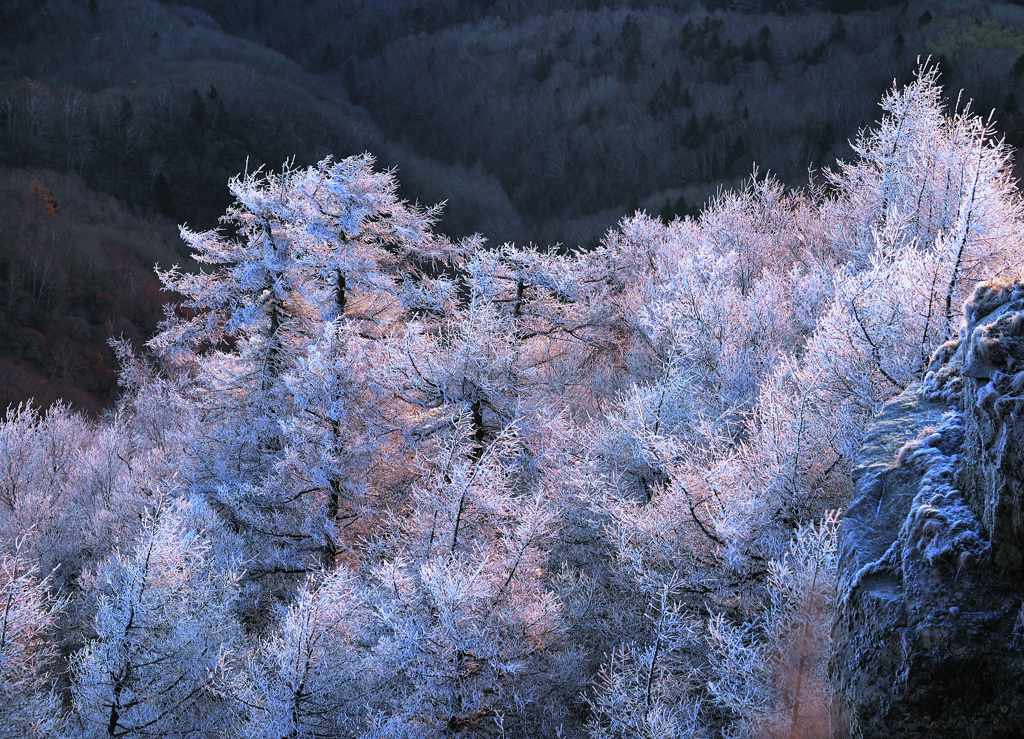 寒 摄影 北北西