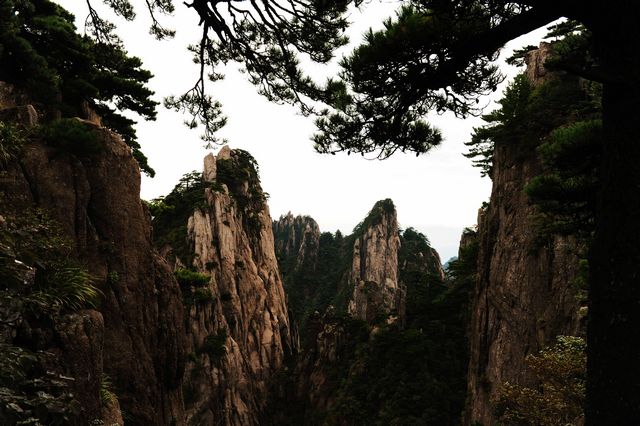 梦幻黄山3 摄影 梦雨