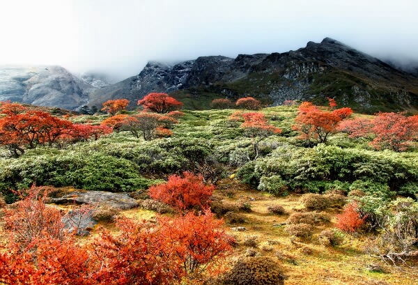 哈巴雪山美景1 摄影 rxzqq