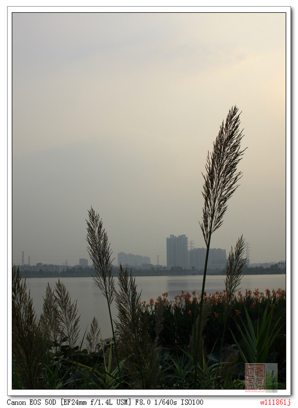 海珠湖(2) 摄影 随风飘浮