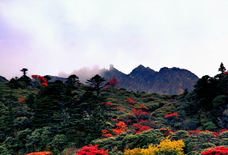 哈巴雪山美景 摄影 rxzqq