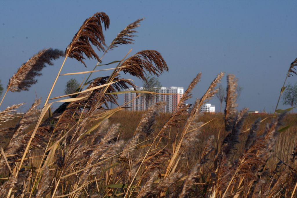 城市风景 摄影 杜蒙大鱼