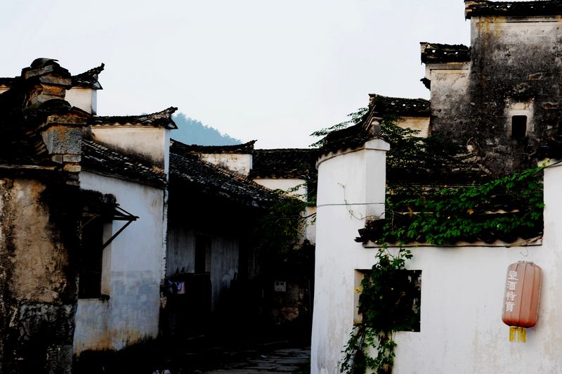 阳光西递 摄影 梦雨