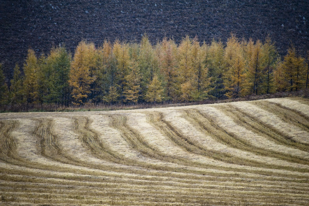 北行记-写实风景二 摄影 三水鱼