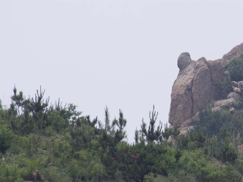 毛公山风光 摄影 崂山绿石