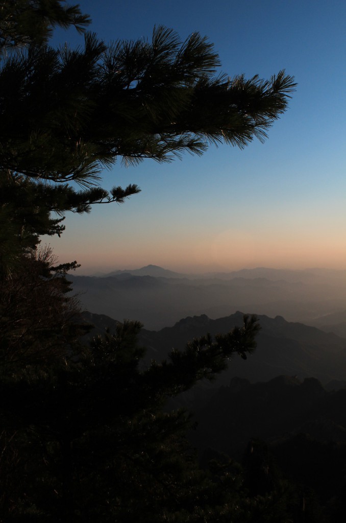 尧山松 摄影 朱皓麟