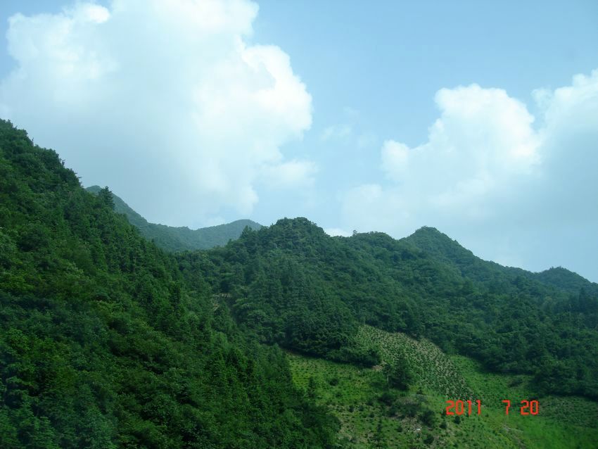 黄山胜景 摄影 清新淡雅