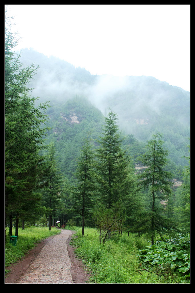 六盘山小路 摄影 山的孩子