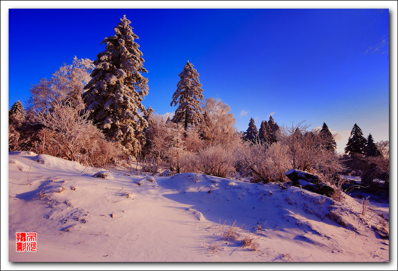 淞染雪岭 摄影 岳桦