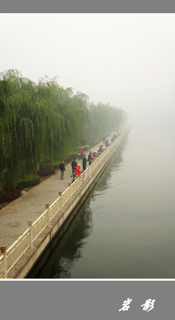 雾中垂钓 摄影 岩影