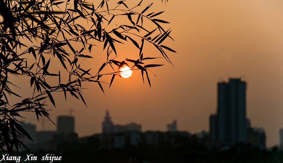 竹下夕阳 摄影 琅西