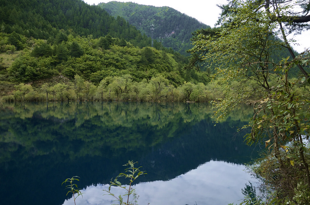 《九寨环旅》（三十五）犀牛海倒影 摄影 狂来舞剑