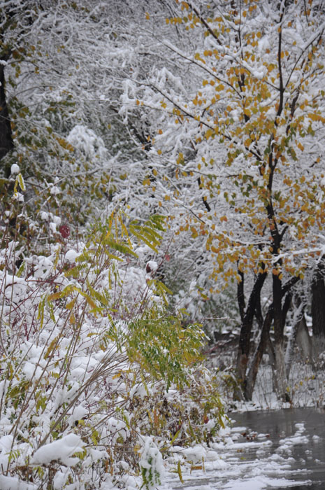 雪后初霁 摄影 寻找的眼