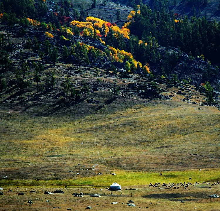 去禾木的途中 摄影 靠山屯