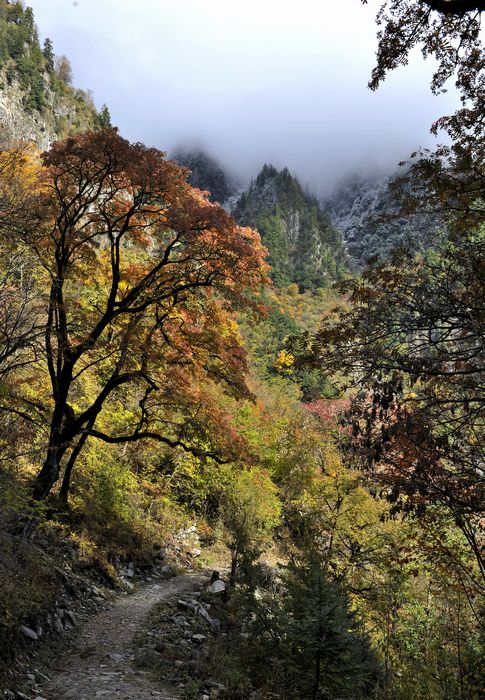 大山深处 摄影 九里堤