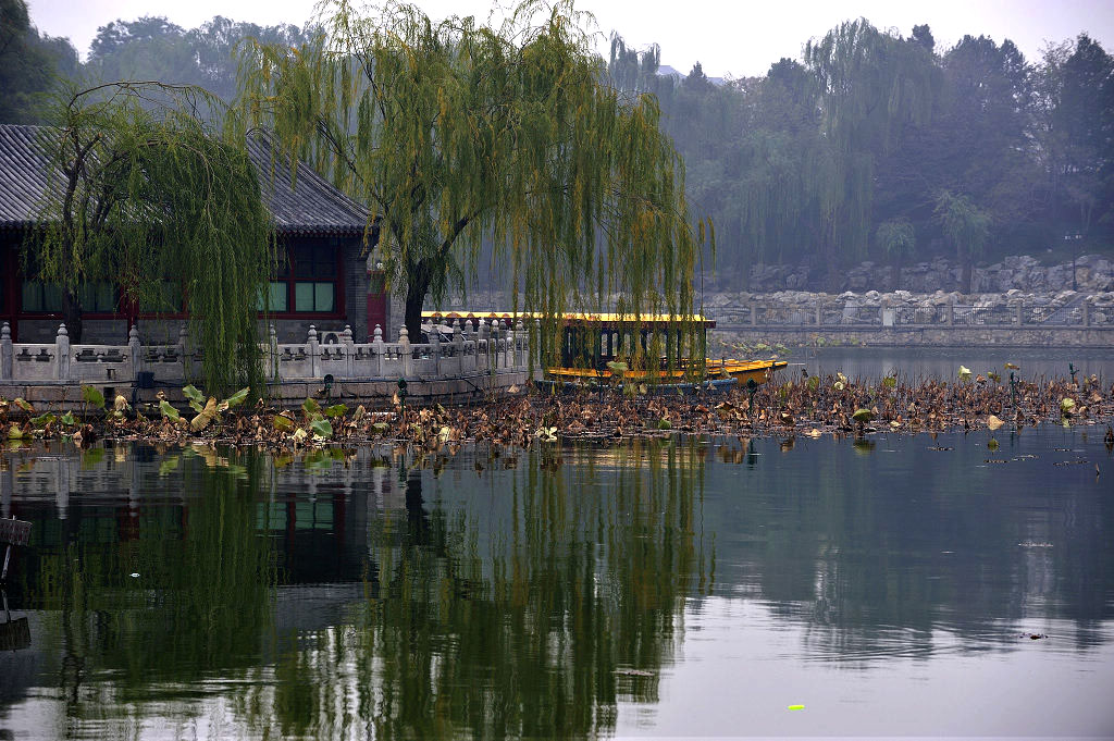 太液秋景 摄影 善舍