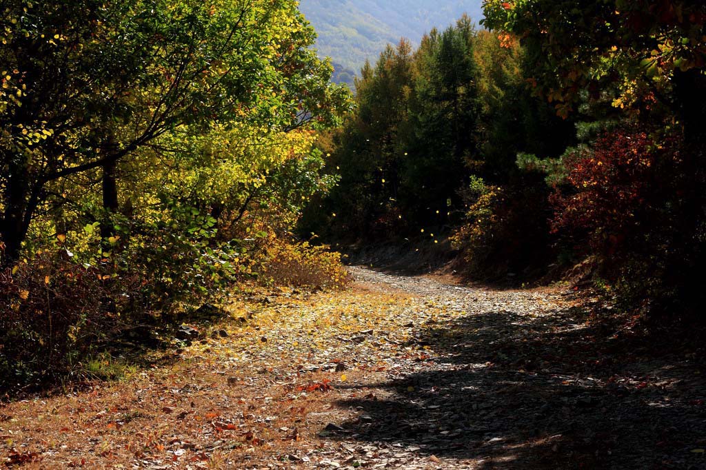 丰宁 云雾山 秋 20111005_13.9 摄影 coolcoolsb