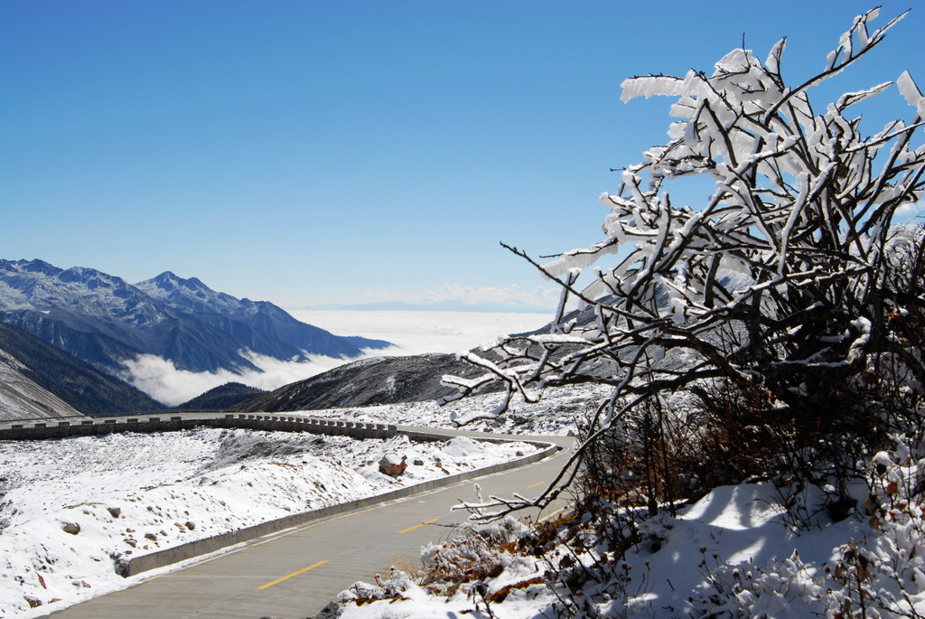 阳光 冰雪 通天路 摄影 照事业