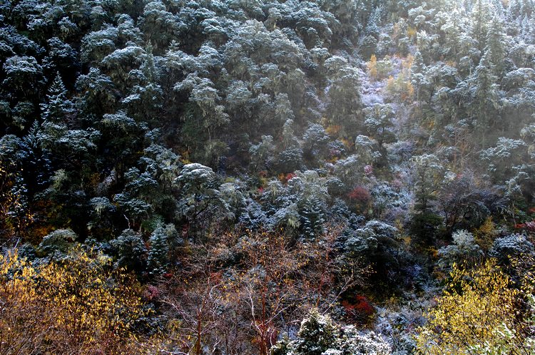 鷄妞山 摄影 浣花西图