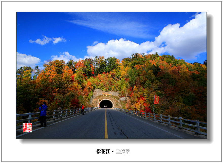 二道岭秋色 摄影 岳桦