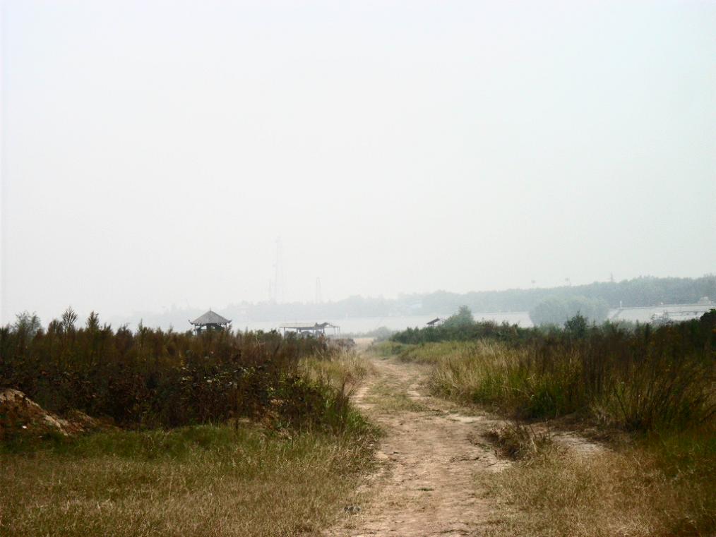 黄河滩美景 摄影 流浪小兵