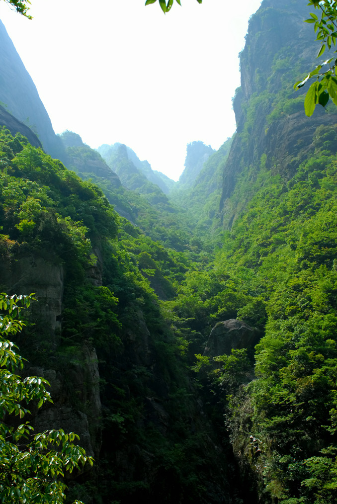 嶂山大峡谷 摄影 淙水秀才