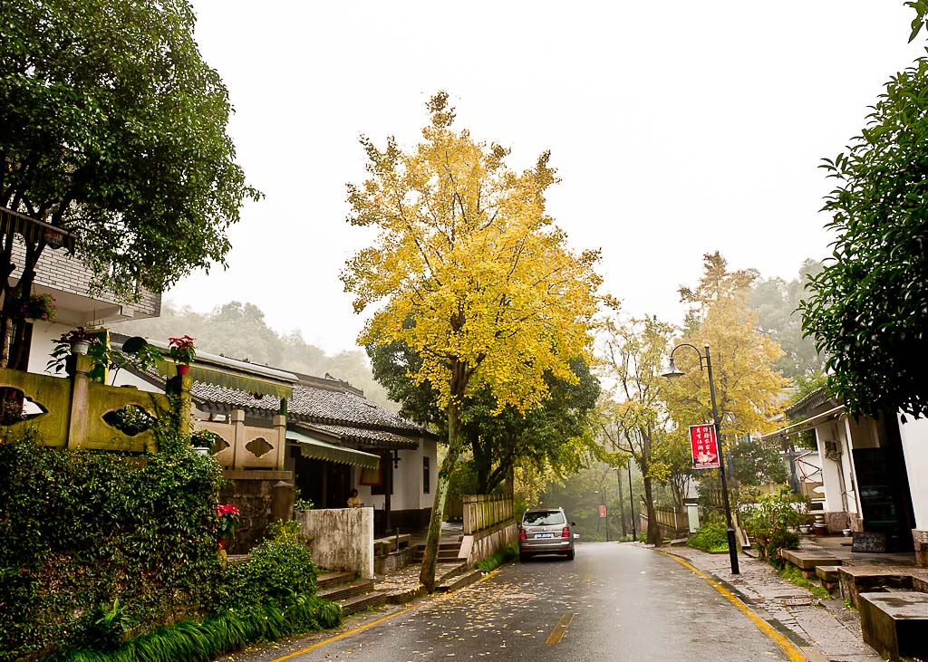 11 11 02 秋.雨 1 摄影 大龙侠