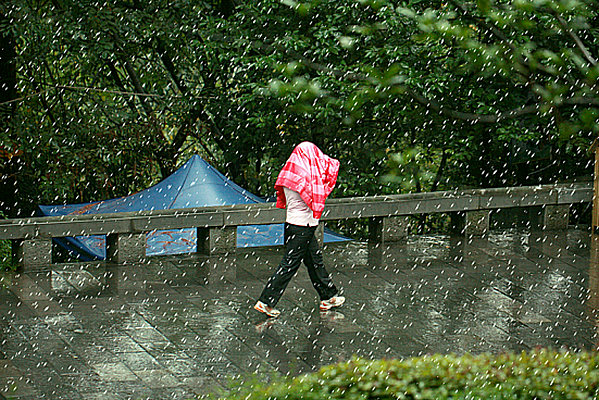 雨中即景 摄影 浅草妖姬