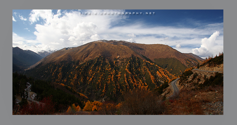 夹金山 摄影 yipsir