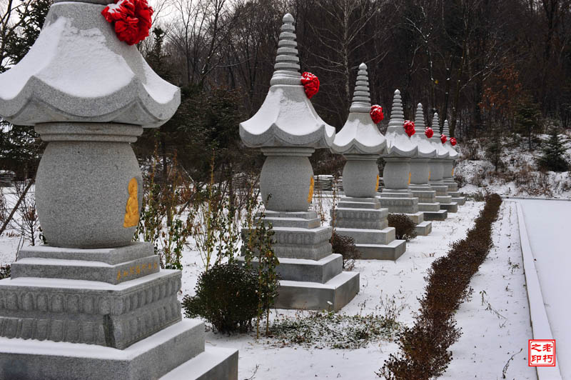 海慧雪景 摄影 老朽