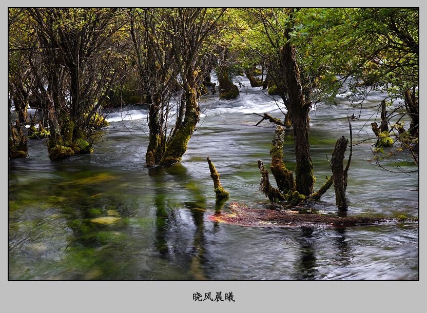 九寨之水——11 摄影 晓风晨曦