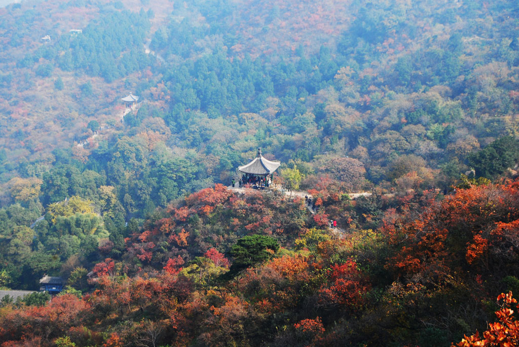 香山红叶 摄影 木玉