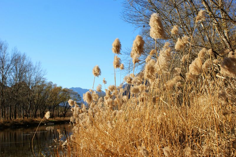 大山里 摄影 英子的秋天