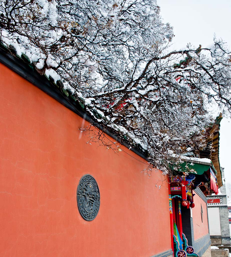 塔尔寺雪景-红墙 摄影 山中半闲人