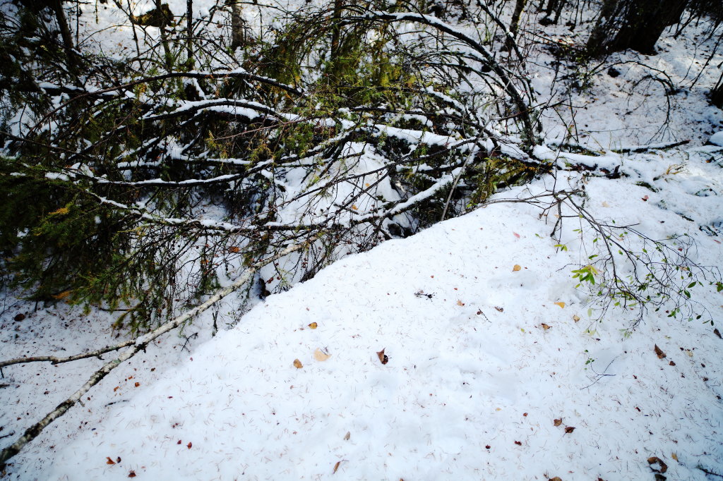 雪殇 摄影 无限江山