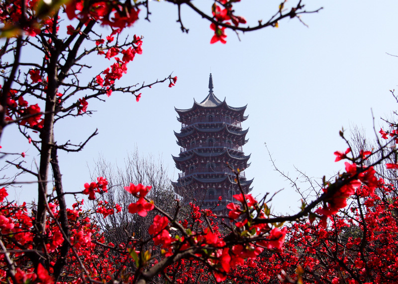 春到昙华寺 摄影 寿南山人