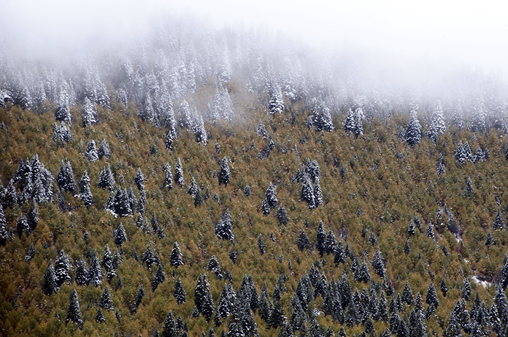 党岭雪山 摄影 georgel